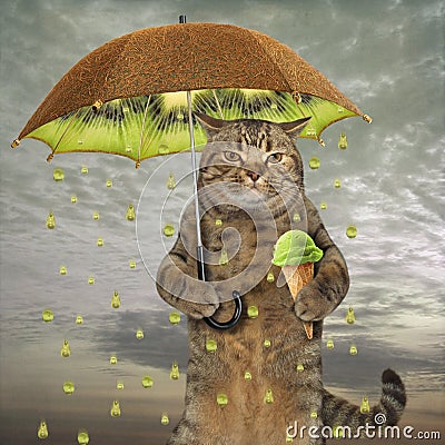 Cat with a kiwi umbrella Stock Photo