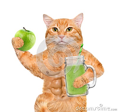 Cat holding smoothie in a jar mug old. Stock Photo