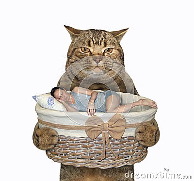 Cat holds basket with sleeping man Stock Photo