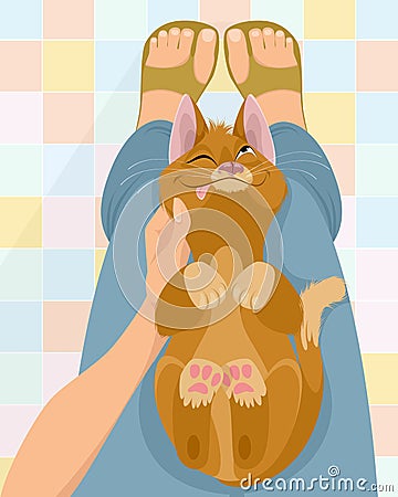 Cat on the hostess`s lap Vector Illustration