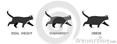 Cat with ideal weight, overweight and obese. Kitten with normal and fat body condition. Domestic animals obesity process Vector Illustration