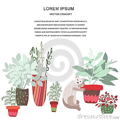 House plants color and cat hand drawn illustration Cartoon Illustration