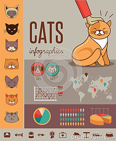 Cat infographics with vector icons set Vector Illustration