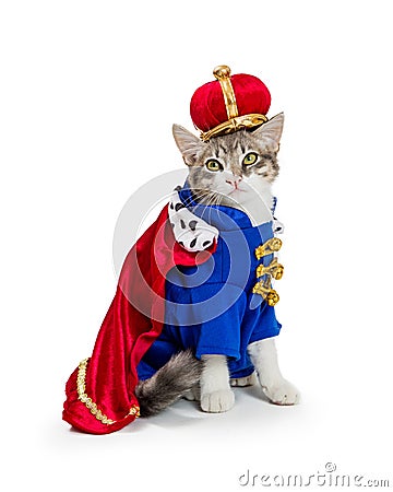 Cat In King Halloween Costume Stock Photo