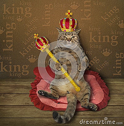 Cat king on the bed Stock Photo