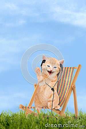 Cat / kitten sitting in deck chair with headphones Stock Photo