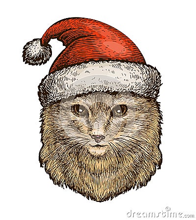 Cat, kitty in a Christmas hat. Sketch vintage vector illustration Vector Illustration