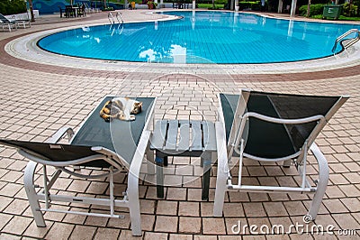 Cat lazing in the afternoon at a swimming pool Stock Photo