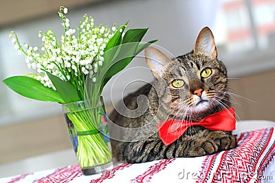 Cat and lily of the valley Stock Photo