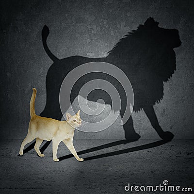 Cat with lion shadow Stock Photo
