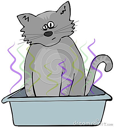 Cat in a litter box Cartoon Illustration