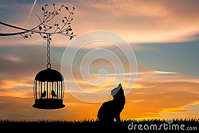 Cat looks at the caged birds Stock Photo