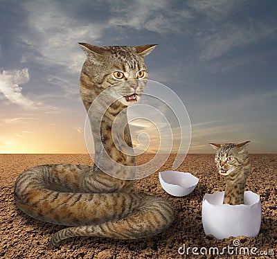Cat snake and its cub Stock Photo