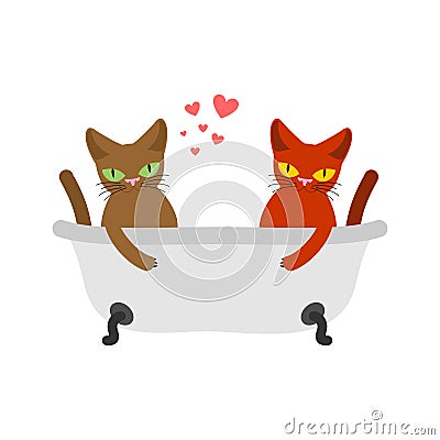 Cat lovers in bath. Lover Joint bathing.. Pet Romantic date. Cat Vector Illustration
