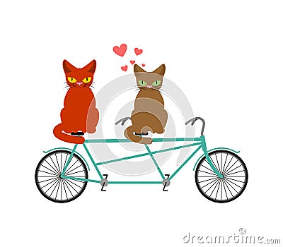 Cat lovers on tandem. Lover of cycling. Joint walk on street. P Vector Illustration