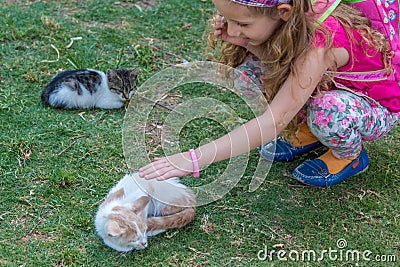 Cat loves sweet little blonde girl Editorial Stock Photo