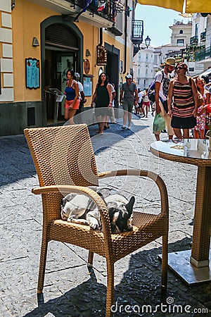 The cat is lying on a chair.Street scene of Via Lorenzo Amalfi Editorial Stock Photo