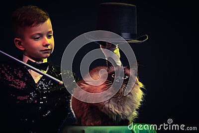 Cat and Magician kid illusionist boy in hat. mystery childhood isolated black background Stock Photo