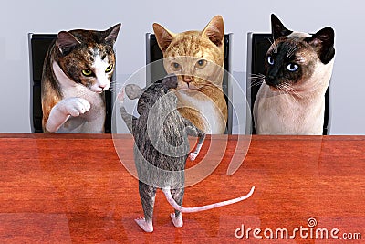 Cat Mouse Sales Marketing Meeting Cartoon Illustration