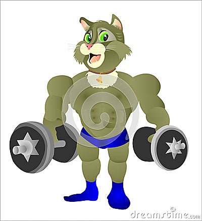 Cat muscled bodybuilder sportsman strong Vector Illustration