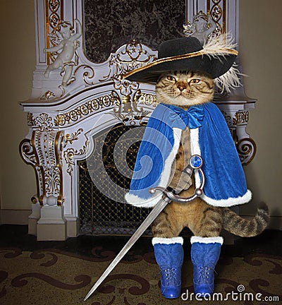 Cat in a blue cloak near a fireplace Stock Photo