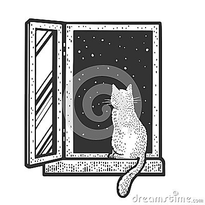 cat in night window sketch raster illustration Cartoon Illustration