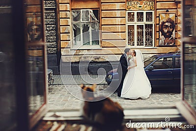 Cat observes just married on the street Stock Photo