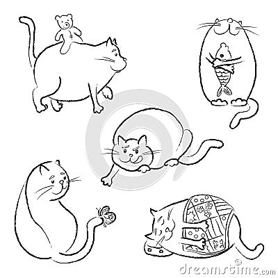 Cat in outline Stock Photo