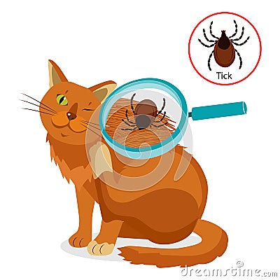 Cat Parasites. What To Know About Feline Parasites. Tick On Cat In The Fur As A Close Up Magnification Vector. Vector Illustration