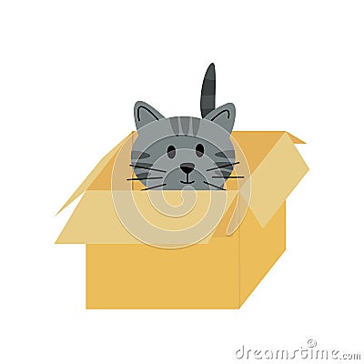 Cat in pasteboard box. Kitten. Flat, cartoon, vector Vector Illustration