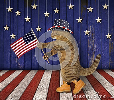 Cat patriot on stage Stock Photo