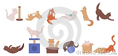 Cat pet plays set, cartoon cute animal characters actions Vector Illustration