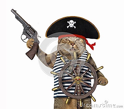 Cat pirate at helm of ship 4 Stock Photo