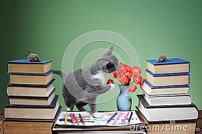 Cat is played with plush mouse Stock Photo