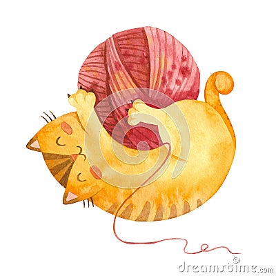 Cat playing with yarn ball. Cute playful kitten character. Cozy postcard. Cartoon Illustration