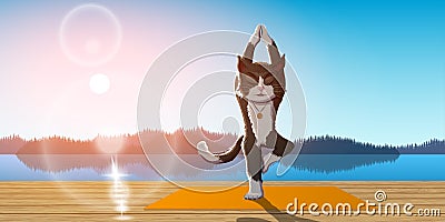 Cat practice yoga Vector Illustration