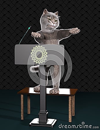 Cat promise maker speaking from tribune Stock Photo