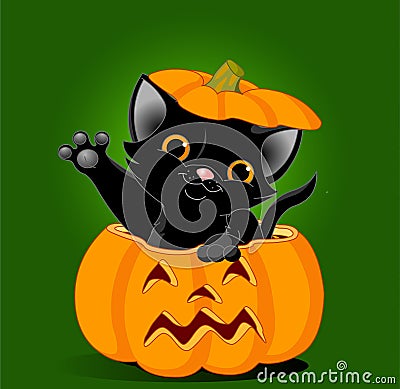 Cat in pumpkin Vector Illustration