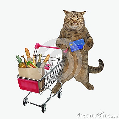 Cat pushing shopping cart Stock Photo