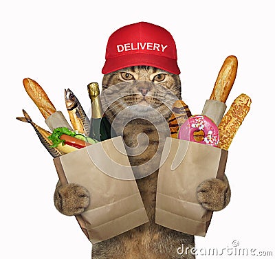 Cat holds grocery bags Stock Photo