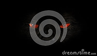 Cat red evil eyes Stock Photo