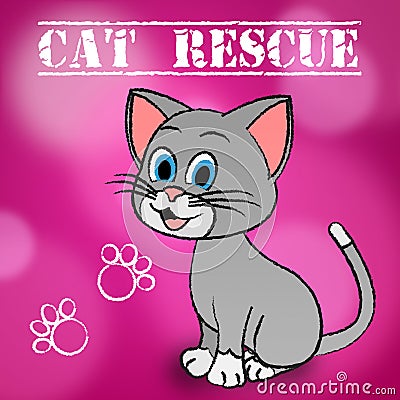 Cat Rescue Indicates Pets Saving And Recovering Stock Photo