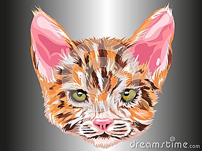 Cat retreat looking forward with green eyes in orange, white and brown with gray background type artistic drawing in vector Vector Illustration