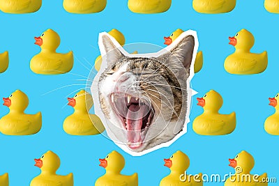 Cat and rubber duck collage, pop art concept design. Minimal vibrant summer background Stock Photo