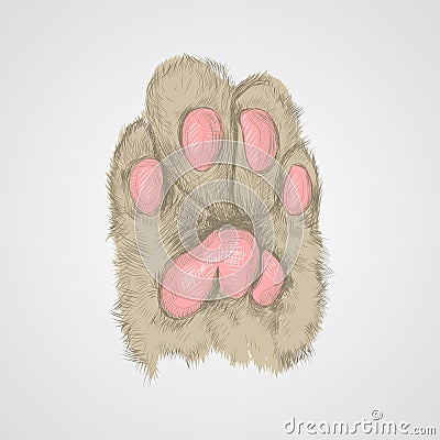 Cat`s paw. sketch graphics Stock Photo