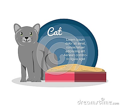 Cat on sandbox icon Vector Illustration