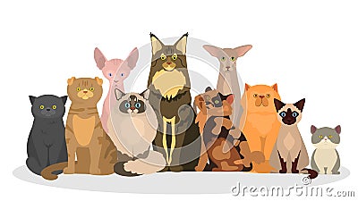 Cat set. Cute funny group of animal of various breed Vector Illustration