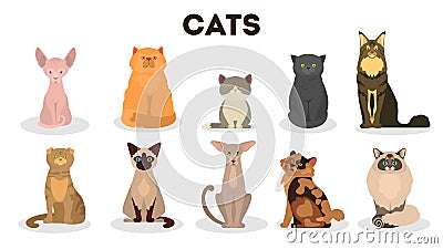 Cat set. Cute funny group of animal of various breed Vector Illustration