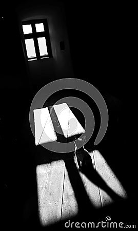 Cat shadow haunted dark room white window light Stock Photo