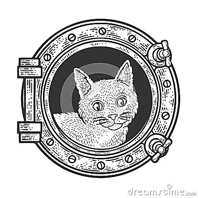 Cat in ship window sketch vector illustration Vector Illustration